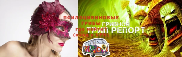 apvp Липки