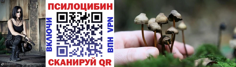 Купить закладки  Зверево  Галлюциногенные грибы прущие грибы 